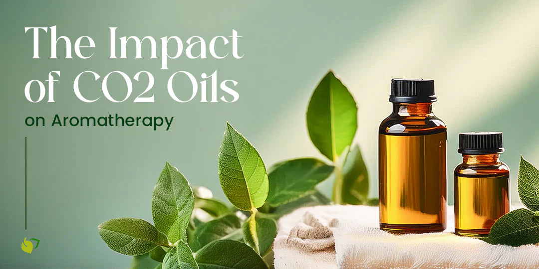 A Comprehensive Overview and Benefits of the SCFE Process