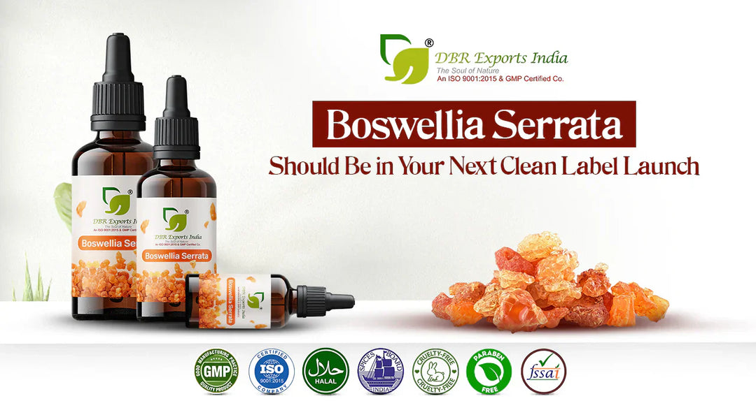 Why Boswellia Serrata(Indian Frankincense) Should Be in Your Next Clean Label Launch