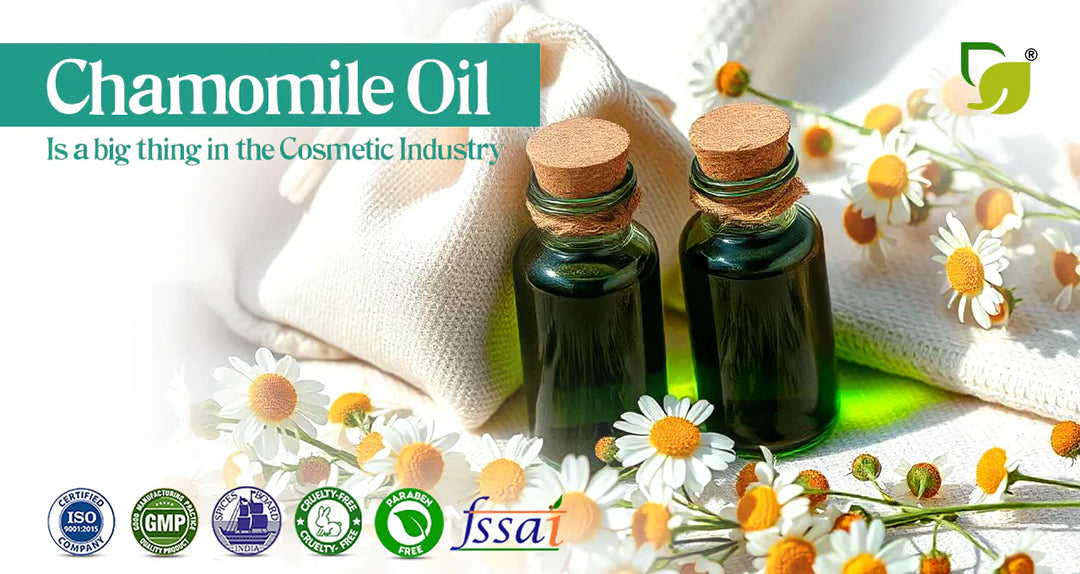 Harnessing the Power of Chamomile Oil in Cosmetic Production