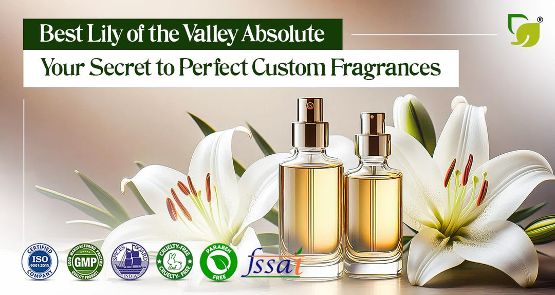 Best Lily of the Valley Absolute: Your Secret to Perfect Custom Aromas