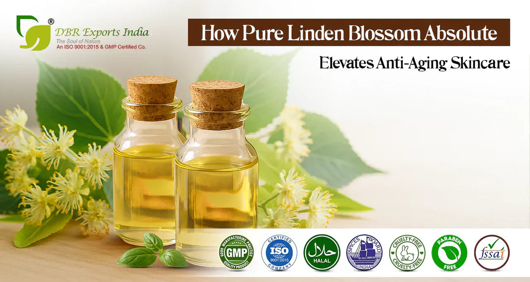 How Pure Linden Blossom Absolute Enhances Anti-Aging Formulations in Cosmetics