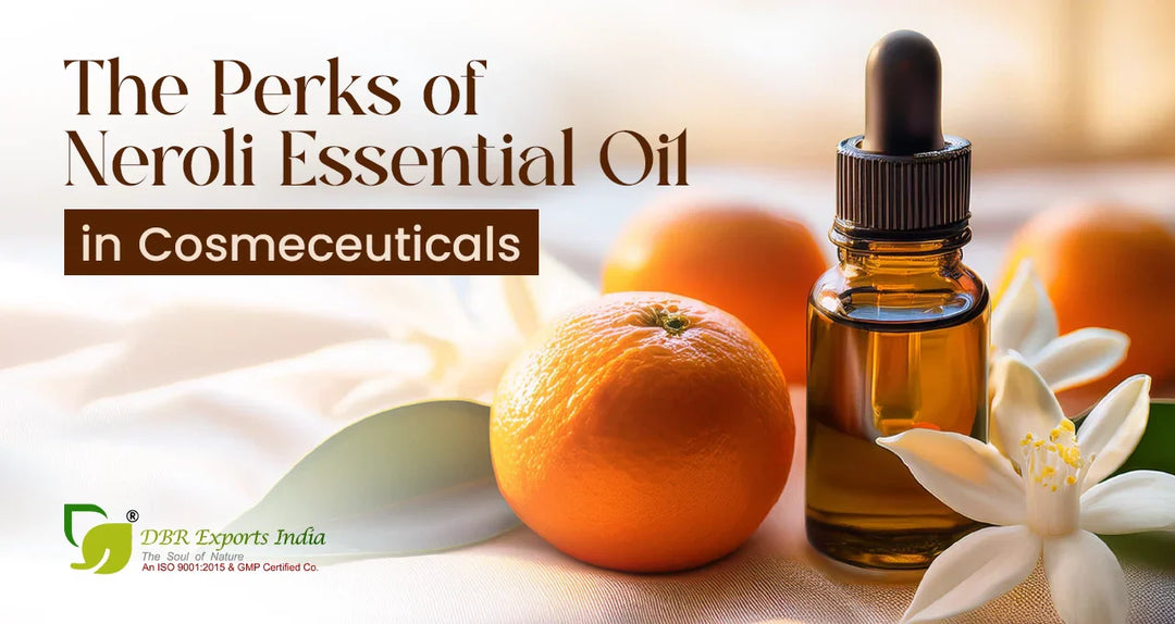 Discover the Science Behind the Perks of Neroli Essential Oil in Cosmeceuticals
