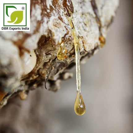 Balsam Peru Oil_DBR Exports India