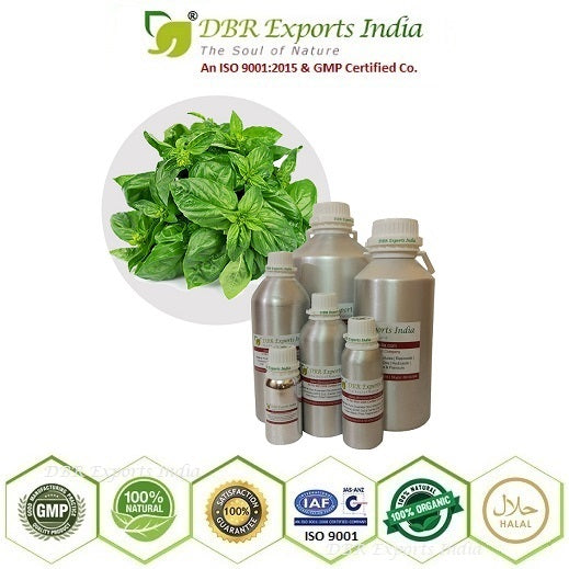 Basil essential Oil basil oil aromatherapy
