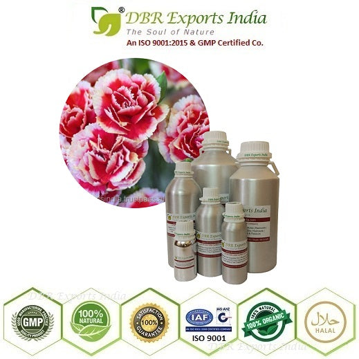 Pure Carnation Absolute Oil via solvent Extraction