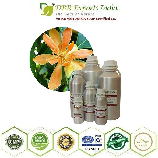 Pure champaca absolute oil