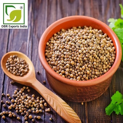 CO2 Coriander Oil _Pure Coriandrum Sativum Oil Co2 by DBR Exports India