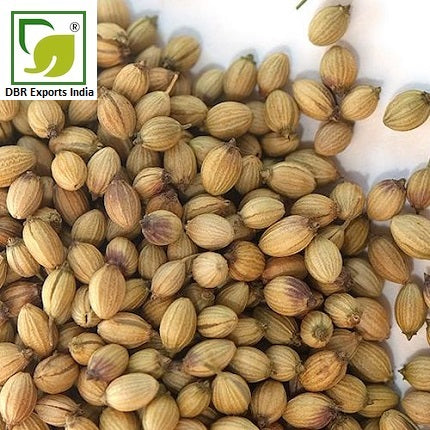 Pure Coriander Oil_Pure Coriandrum Sativum Oil by DBR Exports India