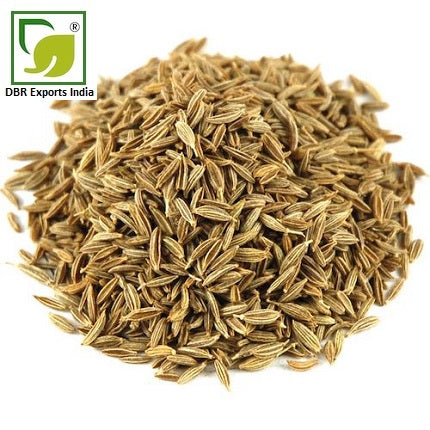 cumin seed oil_Cuminum Cyminum Oil