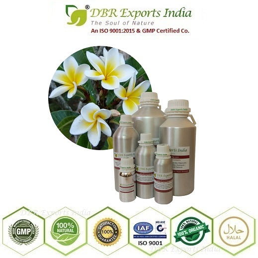 Plumeria Alba Frangipani Absolute Oil via solvent Extraction