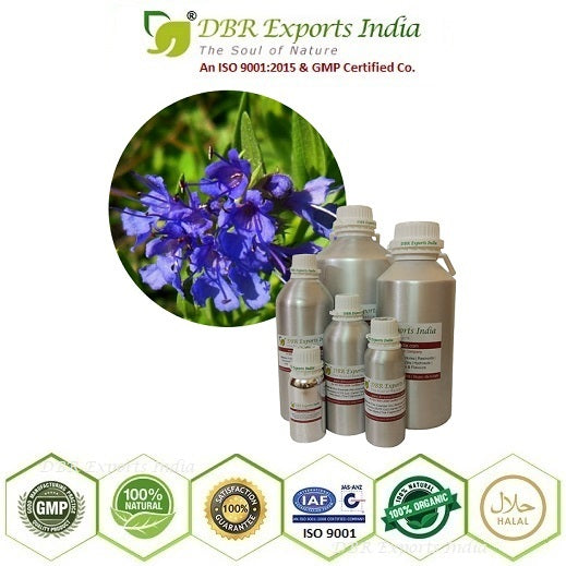 Pure Hyssop essential Oil steam distilled