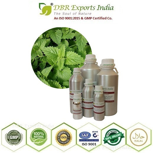 Lemonbalm Oil steam distilled