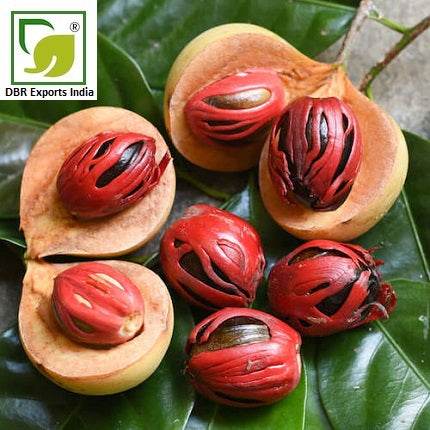 Pure Mace Oil_Myristica Fragrans Oil by DBR Exports India