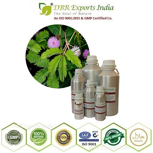 Pure Mimosa Absolute Oil via solvent Extraction
