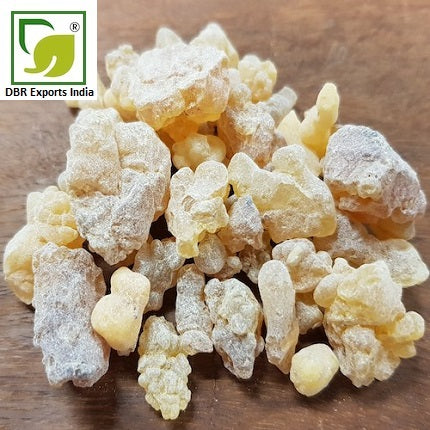 Pure Olibanum Absolute Oil_Boswellia Serrata Oil by DBR Exports India