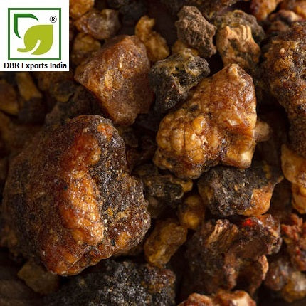Pure Opoponax Oil_Pure Commiphora Erythraea Oil by DBR Exports India