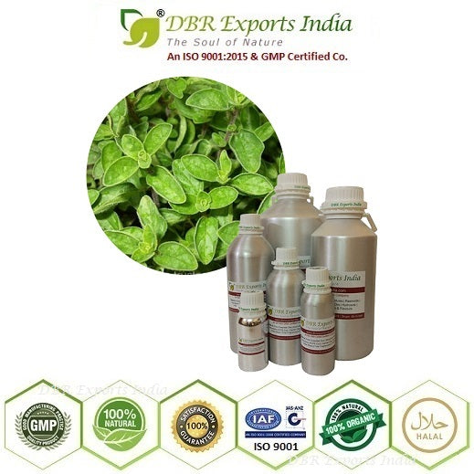 Oregano essential Oil steam distilled