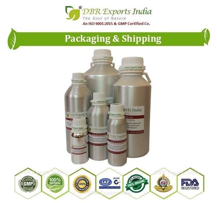 Pure Galangal essential Oil steam distilled_DBR Exports India