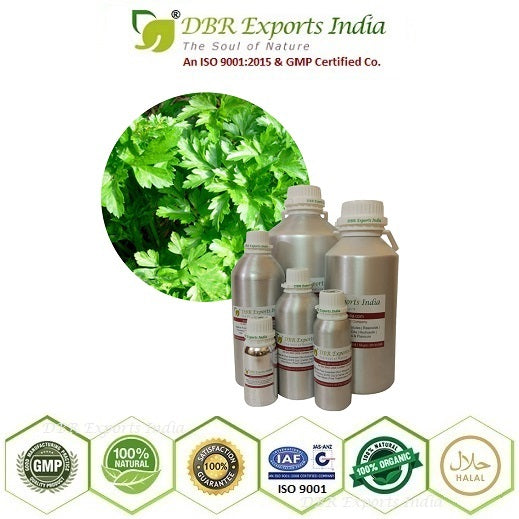 steam distilled Parsley Seed essential Oil