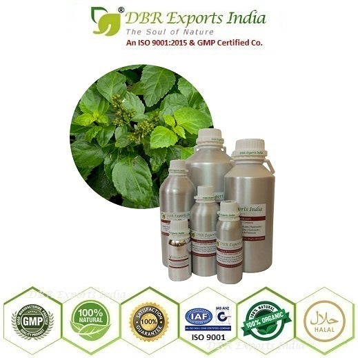 Pure Patchouli essential Oil steam distilled