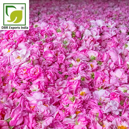 Rose Oil (Soap & Candle)