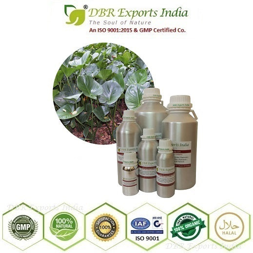 Gandhi root oil steam distilled