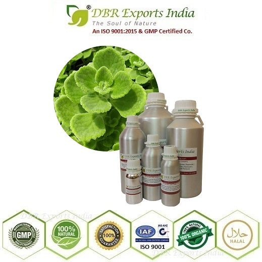 Thyme essential Oil steam distilled