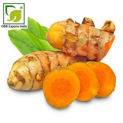 Pure Turmeric Root Oil_Pure Curcuma Longa Oil by DBR Exports India