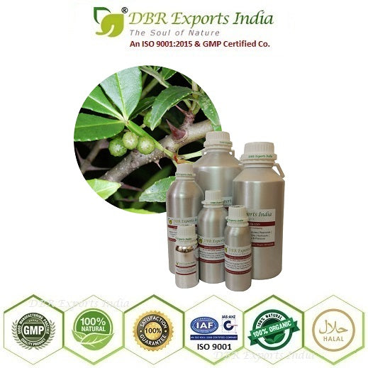 Pure Zanthoxylum essential Oil steam distilled